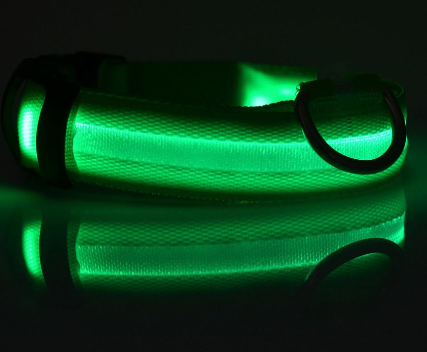 Pets luminous collar from paetown
