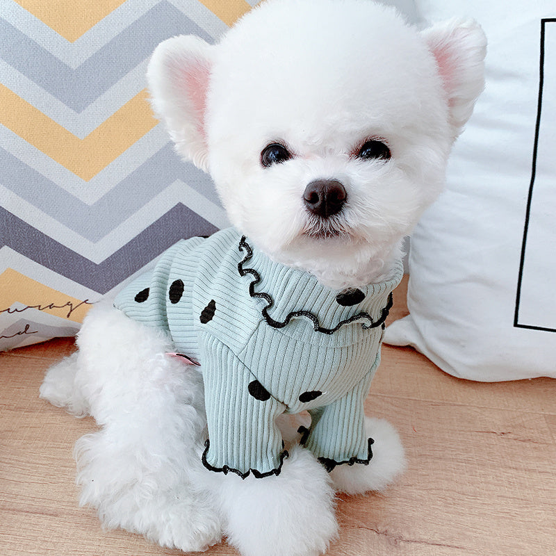 Dog turtleneck from paetown store
