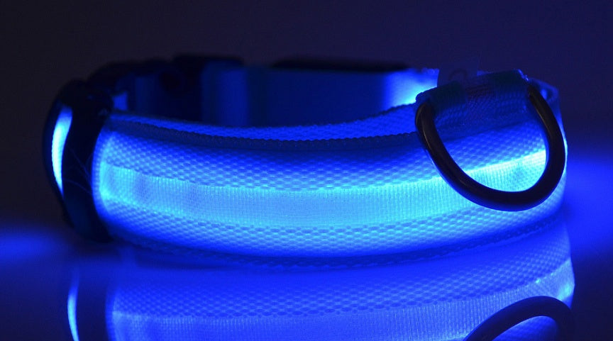 Pets luminous collar from paetown