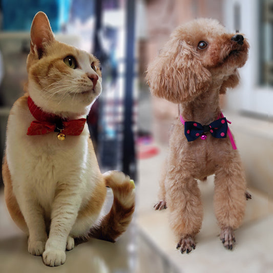Pet accessories pet bow from paetown store