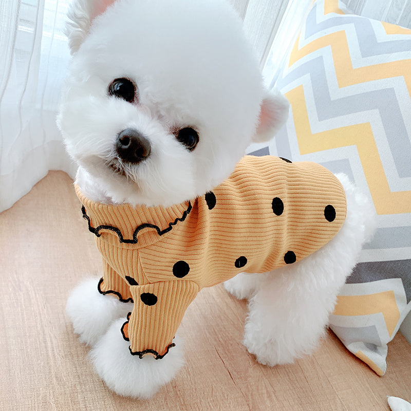 Dog turtleneck from paetown store