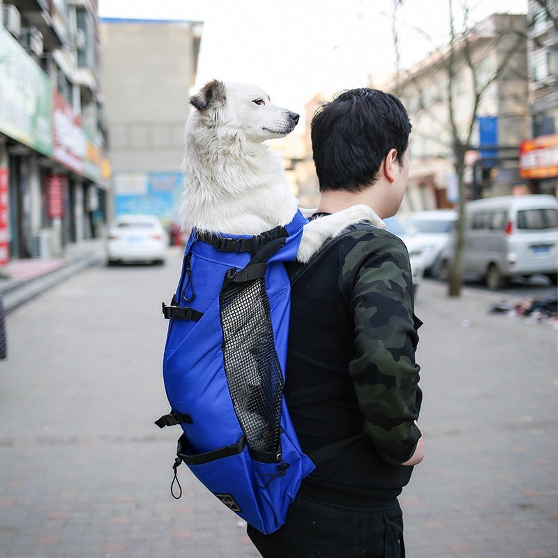 Pet bags carriers from paetown store