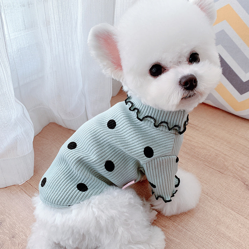 Dog turtleneck from paetown store