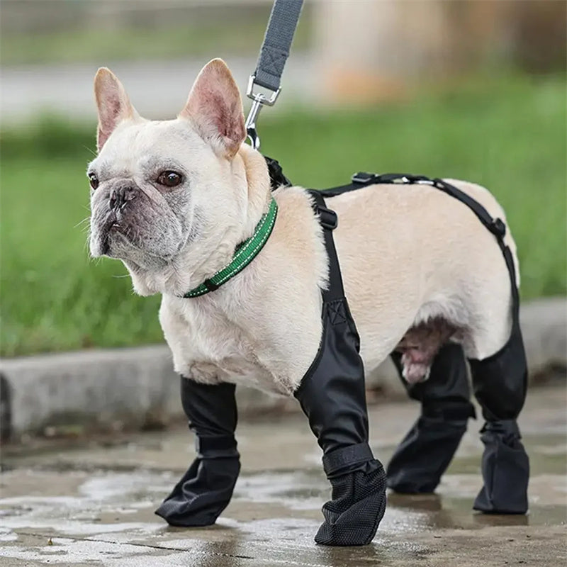 Waterproof adjustable pet shoe from paetown store