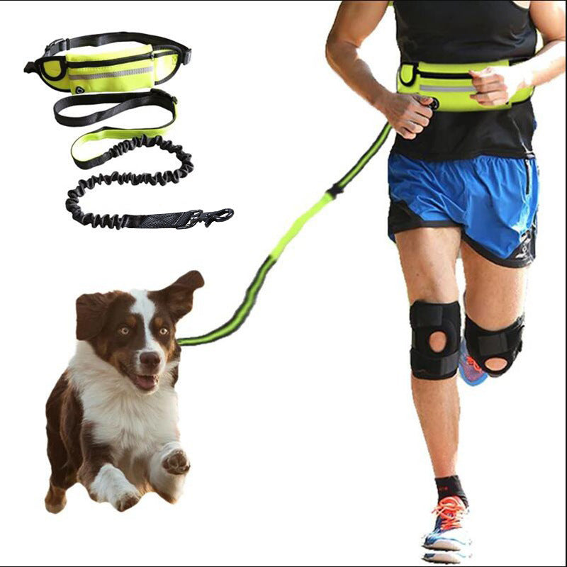 Pet walking leash from paetown