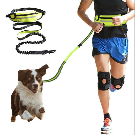 Pet walking leash from paetown