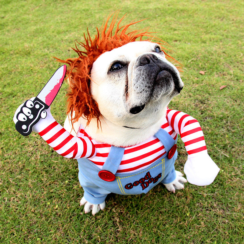 Halloween pet clothes from paetown store