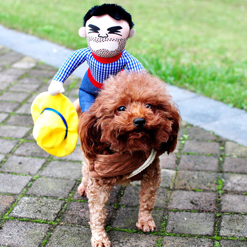 Halloween pet clothes from paetown store