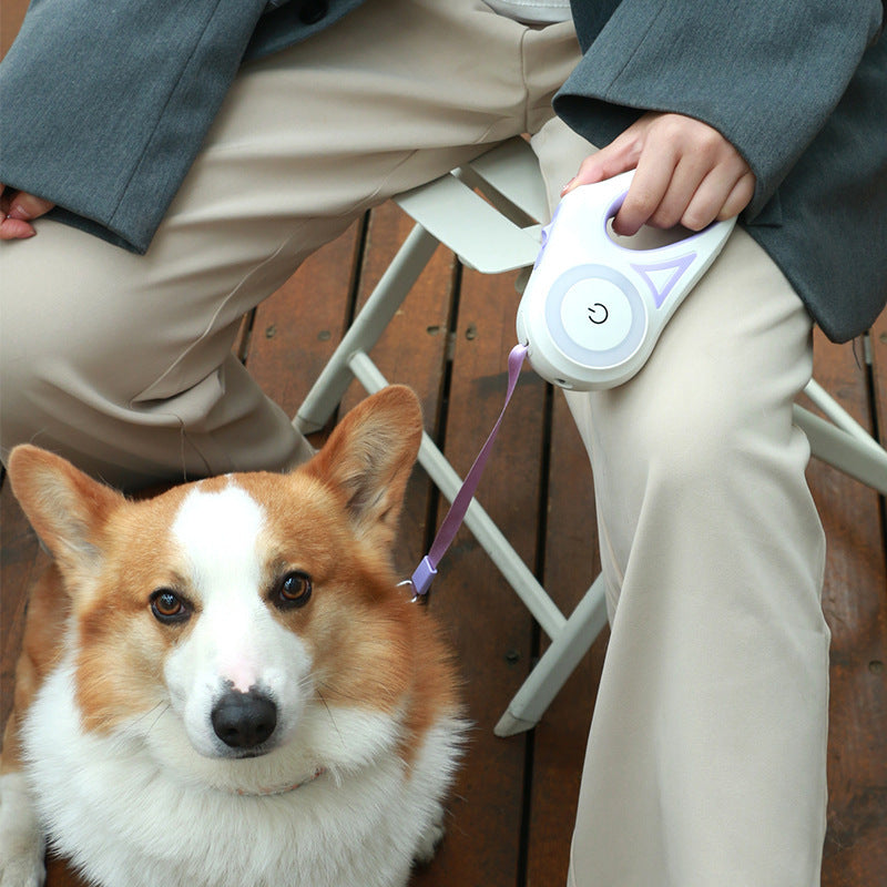 Dog retractable leash from paetown