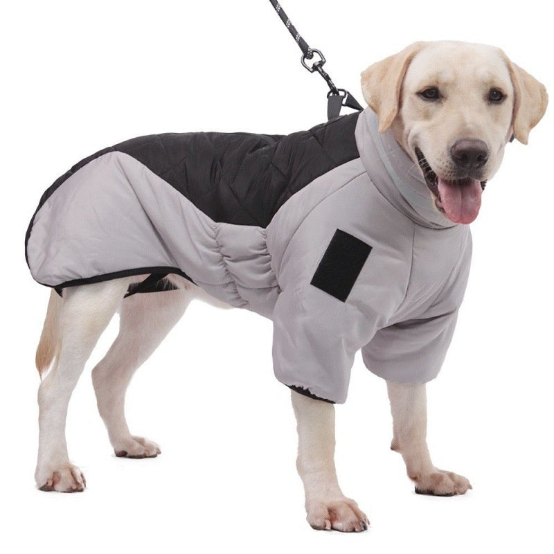 waterproof pet coat from paetown store