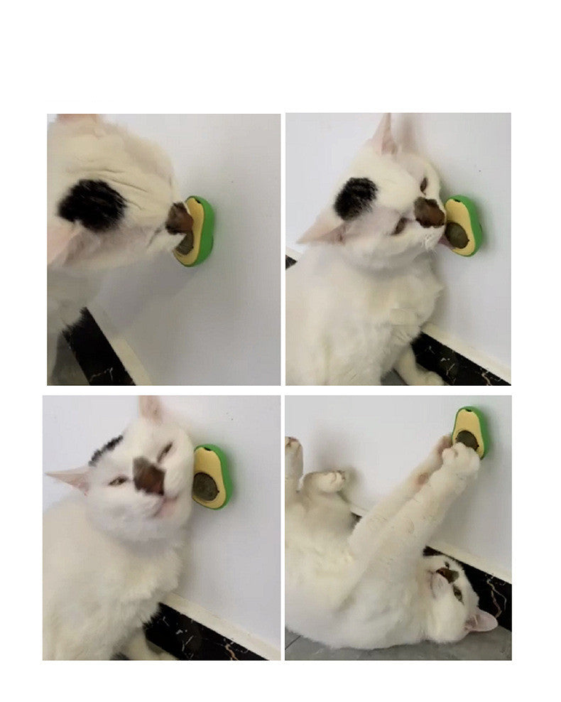 Multifunctional catnip from paetown store