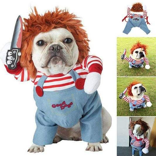 Halloween pet clothes from paetown store