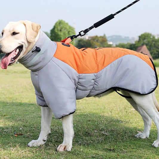 waterproof pet coat from paetown store