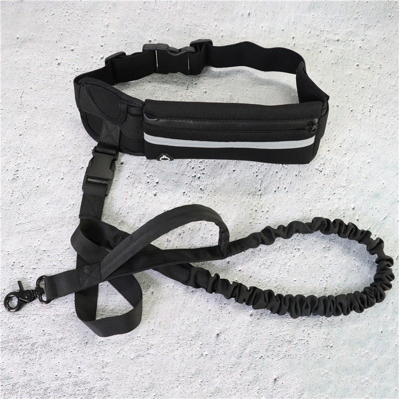 Pet walking leash from paetown