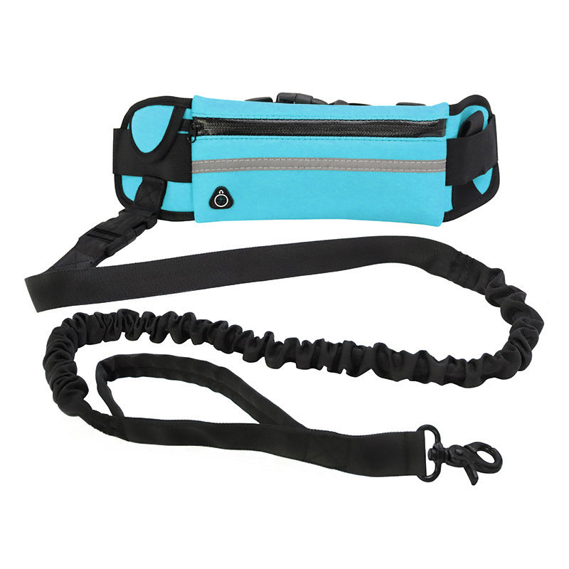 Pet walking leash from paetown