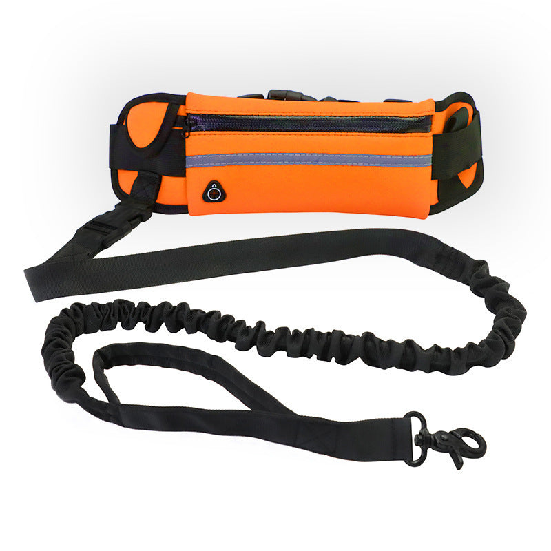 Pet walking leash from paetown