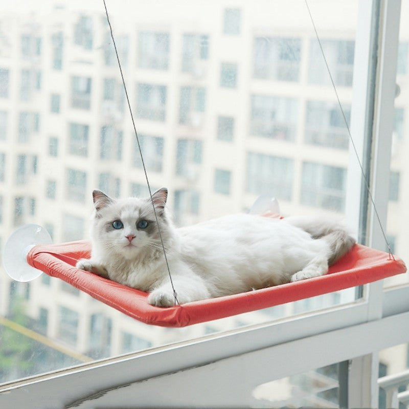 Cat window hammock from paetown store