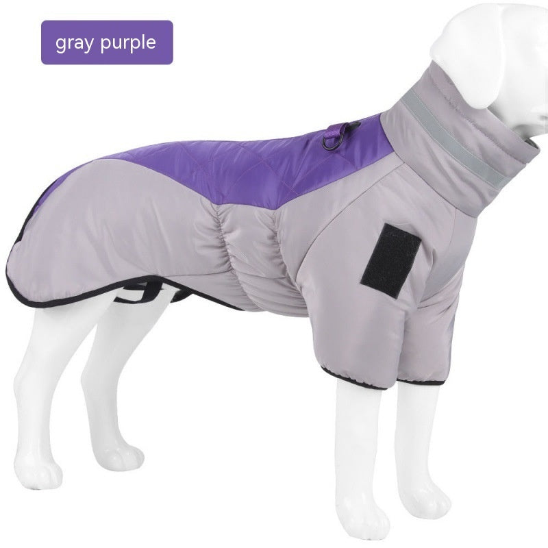 waterproof pet coat from paetown store