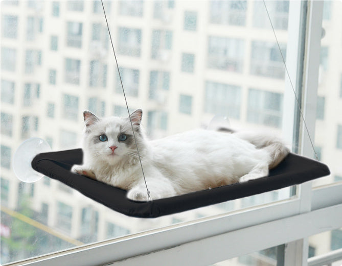 Cat window hammock from paetown store