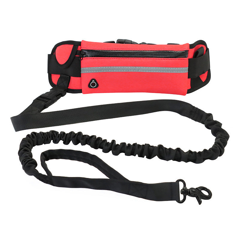 Pet walking leash from paetown