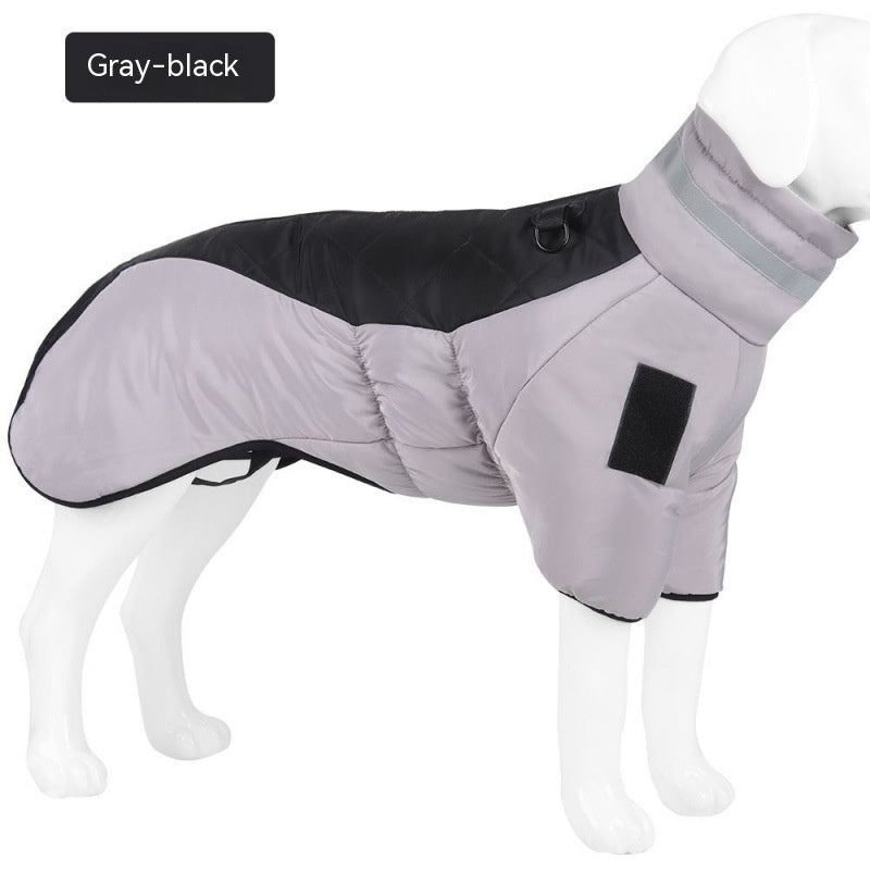 waterproof pet coat from paetown store