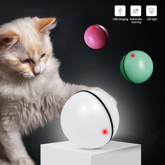 LED laser toy cat ball from paetown store