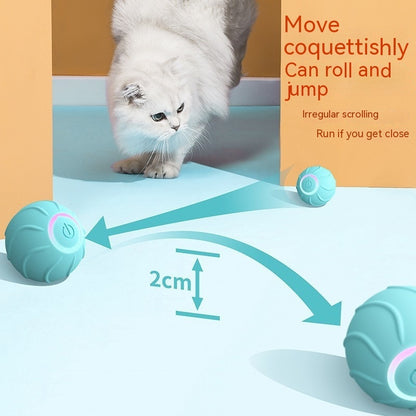 Automatic bouncing ball from paetown store