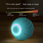 Automatic bouncing ball from paetown store
