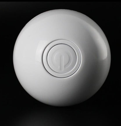 LED laser toy cat ball from paetown store