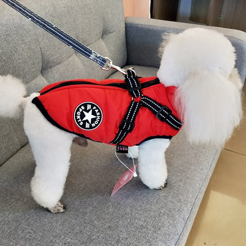 waterproof dog clothe from paetown stores