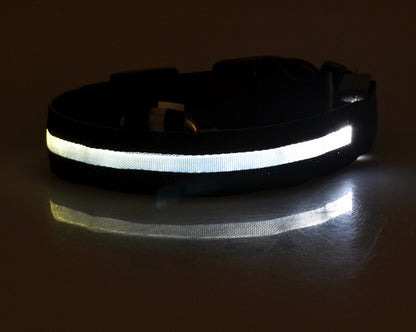 Pets luminous collar from paetown