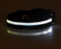Pets luminous collar from paetown