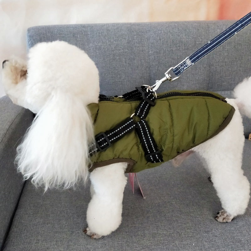 waterproof dog clothe from paetown stores