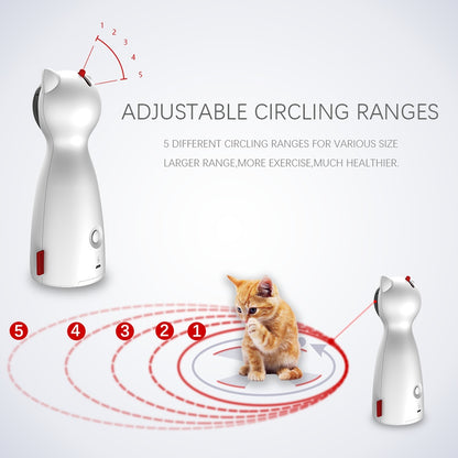 Pets exercise training toys from paetown store