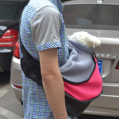Pet backpack from paetown store