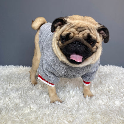 Pet sweater from paetown store