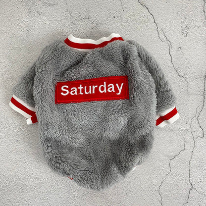 Pet sweater from paetown store