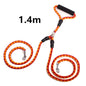 Double-ended leash from paetown