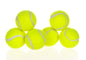 Pets interactive ball launcher from paetown