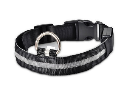 Pets luminous collar from paetown