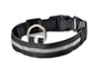 Pets luminous collar from paetown