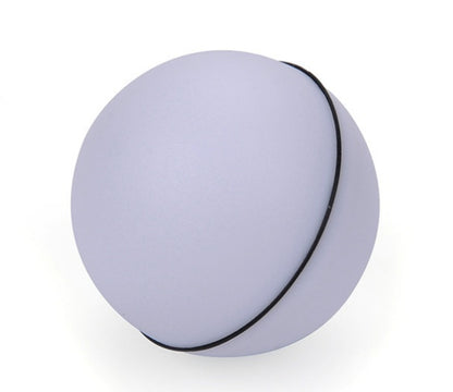 LED laser toy cat ball from paetown store