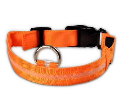 Pets luminous collar from paetown