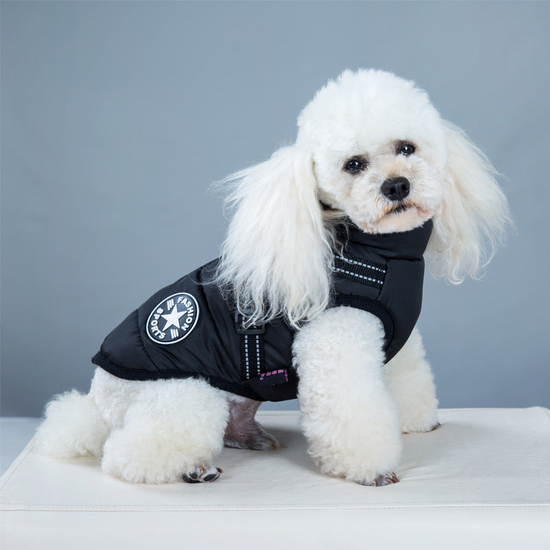 waterproof dog clothe from paetown stores