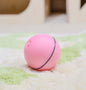 LED laser toy cat ball from paetown store