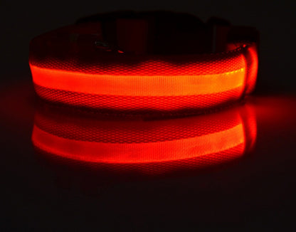Pets luminous collar from paetown