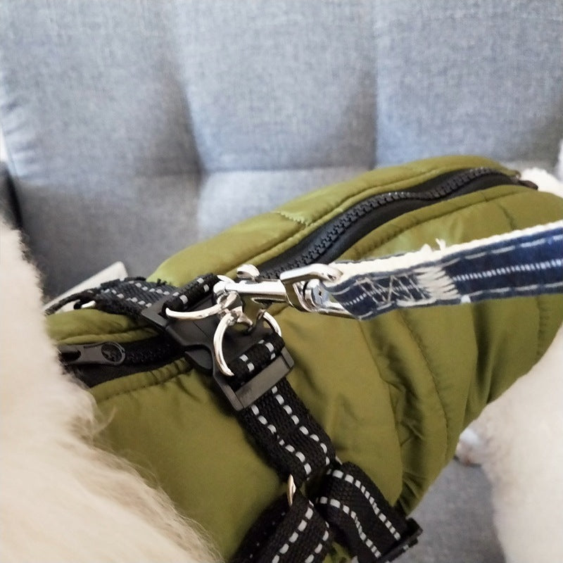 waterproof dog clothe from paetown stores