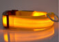 Pets luminous collar from paetown