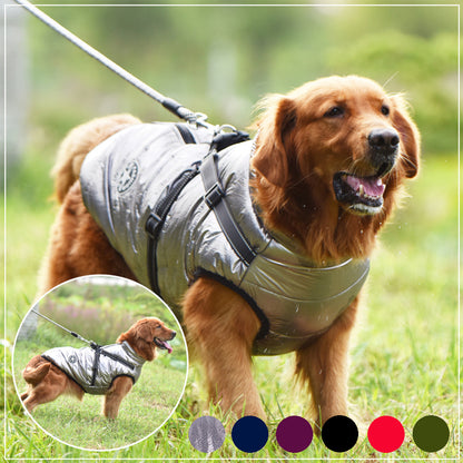 waterproof dog clothe from paetown stores