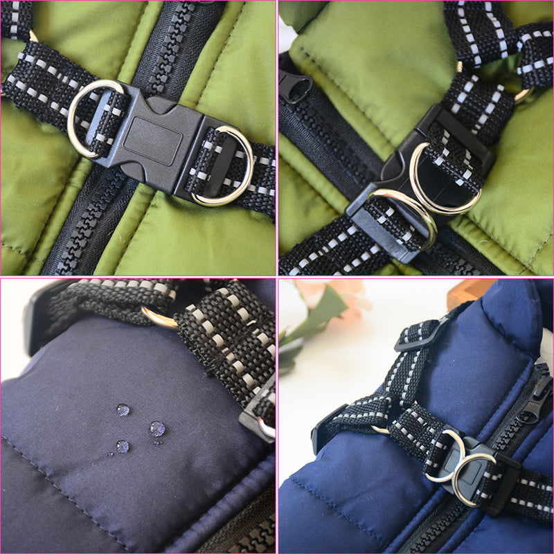 waterproof dog clothe from paetown stores